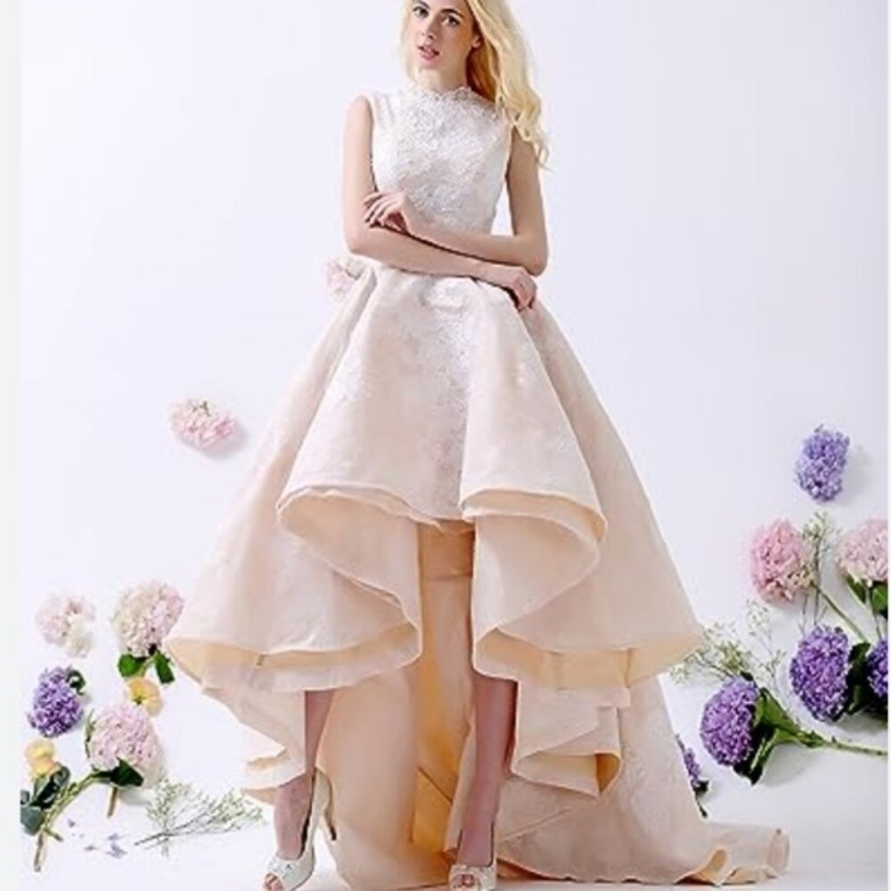 Champagne Lace Wedding Prom Elegant Dress High Low German Designer Size 10